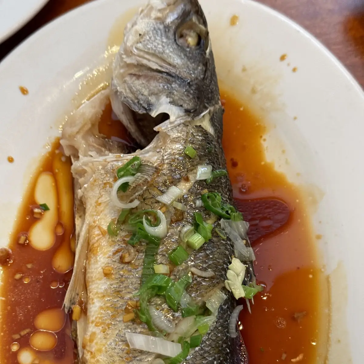 魚
